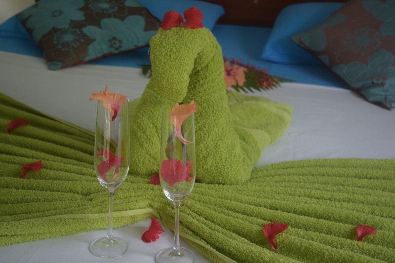 CHALET-BAMBOU-VERT-VERRES