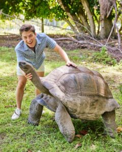 Tortue géante des Seychelles