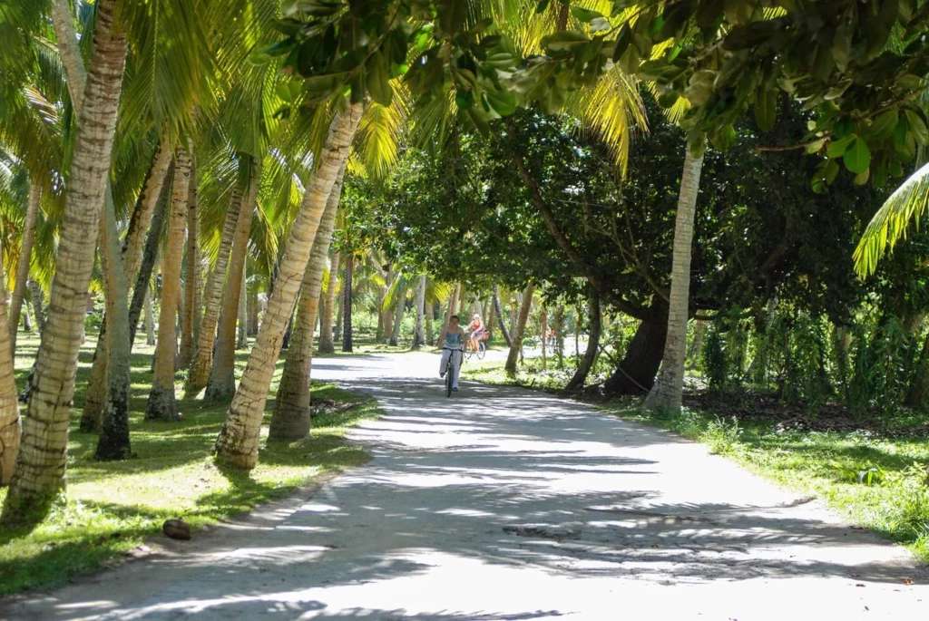 Paysage des Seychelles 